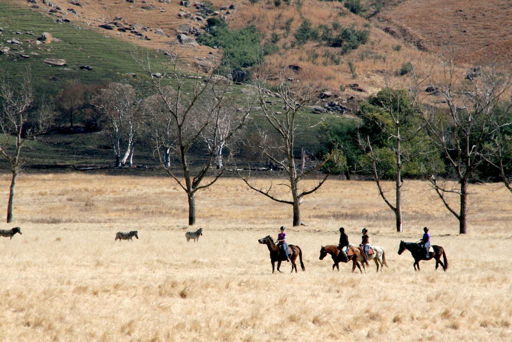 Sani Valley Nature Lodges Himeville Buitenkant foto