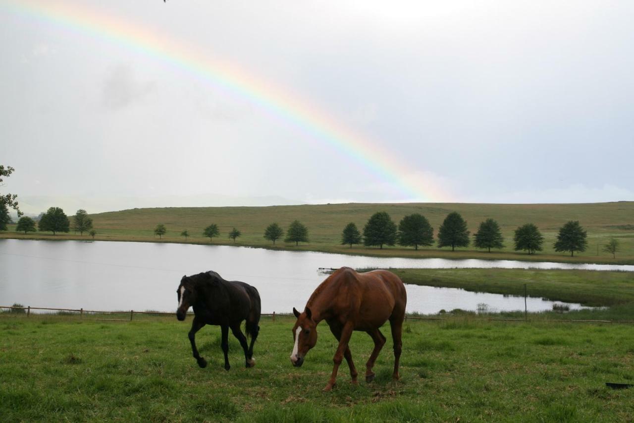 Sani Valley Nature Lodges Himeville Buitenkant foto