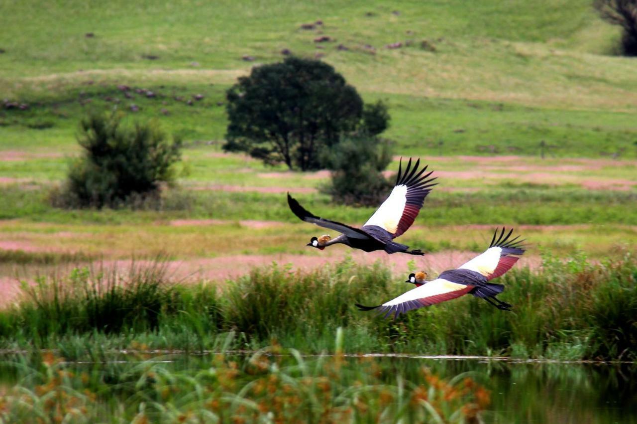 Sani Valley Nature Lodges Himeville Buitenkant foto