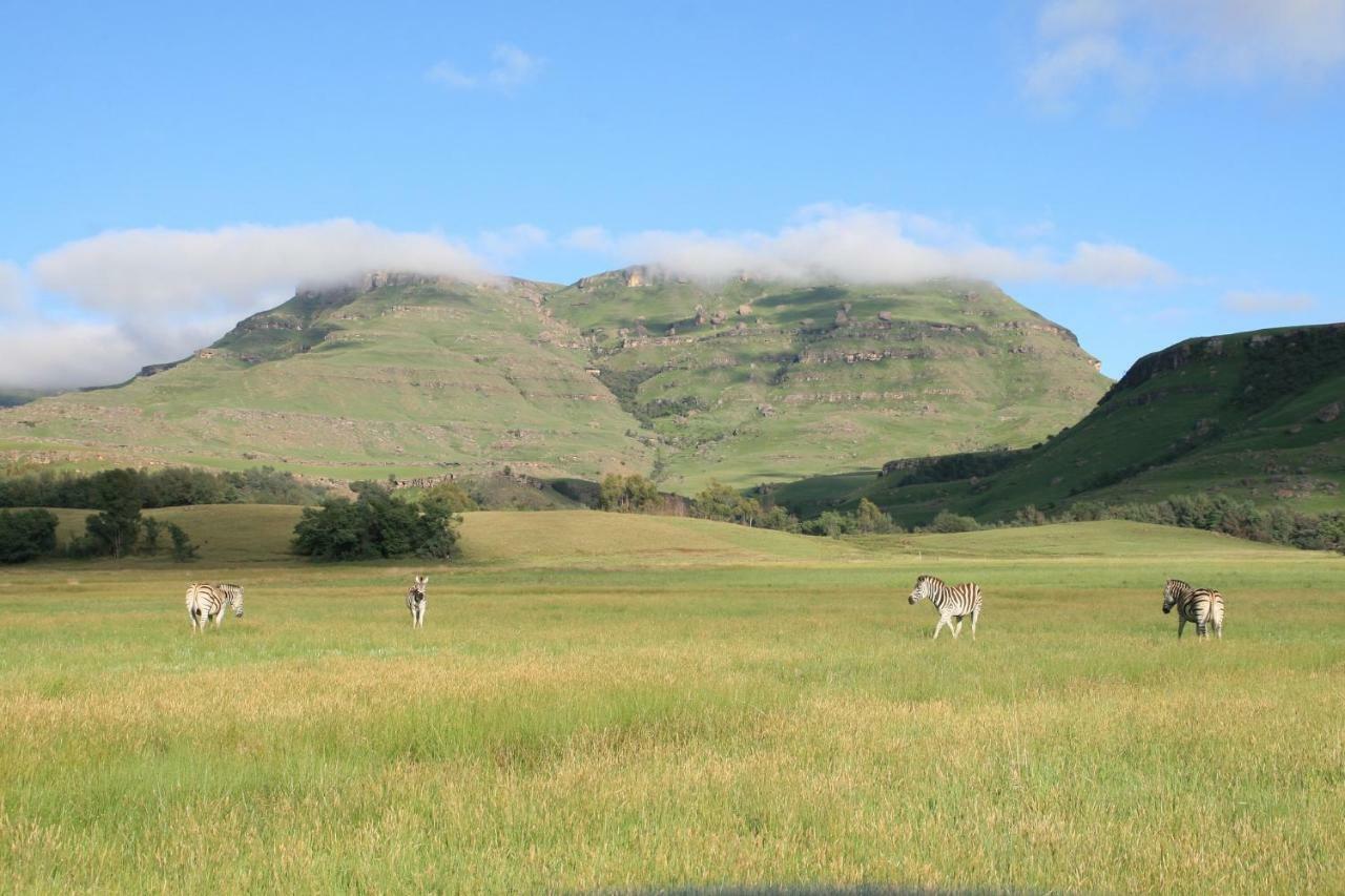 Sani Valley Nature Lodges Himeville Buitenkant foto